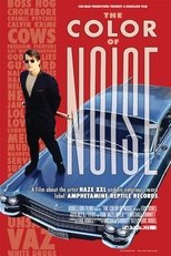 The Color of Noise poster