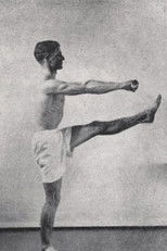 Discipline and phylogeny poster