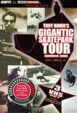 Poster for Tony Hawk's Gigantic Skatepark Tour 2001 