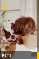 Pets poster