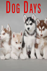 Poster for Dog Days 