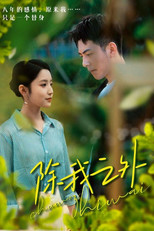 除我之外 poster