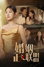 婚姻正义联盟 poster