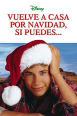 Ver Vuelve a casa por Navidad, si puedes... (1998) Online