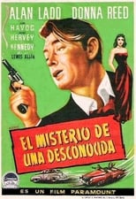 El misterio de una desconocida