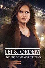 Lei & Ordem: Unidade de Vítimas Especiais: 22ª Temporada