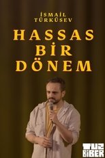 Hassas Bir Dönem - İsmail Türküsev main poster