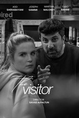 The Visitor