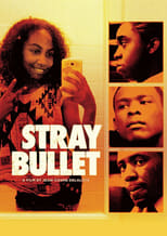 Poster for Stray Bullet