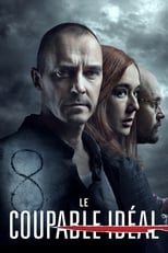 Le Coupable idéal serie streaming