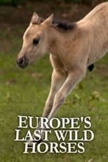 Poster for Europe's Last Wild Horses