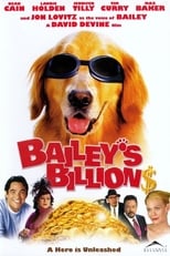 Poster for Bailey's Billion$
