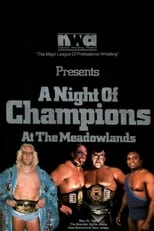 Poster for NWA Night of Champions