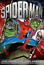 Spider-Man poster image