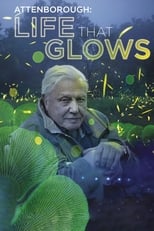 Poster di Attenborough's Life That Glows