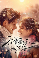 我曾爱你如沧海 poster