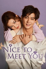 Nice To Meet You poster
