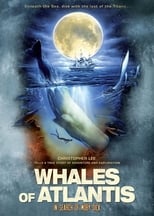 Poster for Whales of Atlantis: In Search of Moby Dick