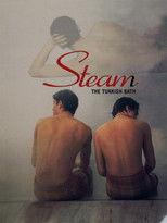 Steam: The Turkish Bath