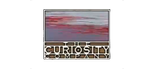 The Curiosity Company