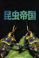 第 1 季
