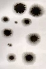 Animation from Poland Residence Animation from Poland Residence