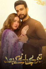 Teray Janay Kay Baad poster