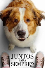 Juntos Para Sempre 2