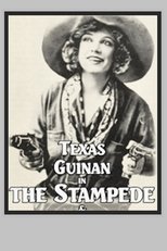 Poster for The Stampede