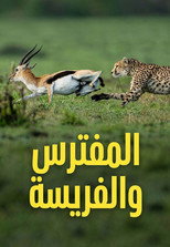 الموسم 2