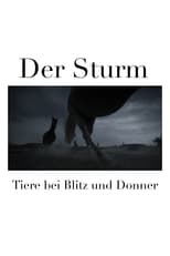 Poster for Der Sturm - Tiere bei Blitz und Donner