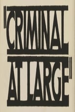 Poster for A Criminal at Large