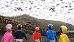 Imagen Power Rangers 20x21