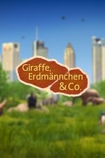 Poster for Giraffe, Erdmännchen & Co.