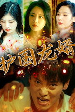 护国龙婿 poster