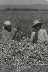 Poster for La chanson du manioc 