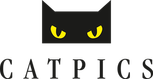 Catpics