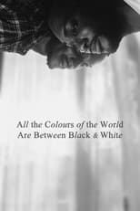 Poster for All the Colours of the World Are Between Black and White 