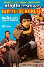 Poster for Boynu Bükükler