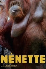 Poster for Nénette 