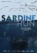 Poster for Sardine run, le plus grand festin de l'océan 
