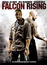 Falcon Rising poster