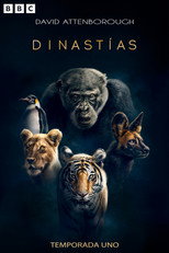 Temporada 1