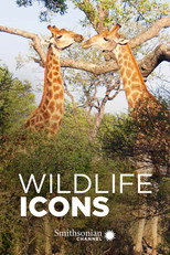 Wildlife Icons (2015)