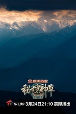 秘境神草 (2017)