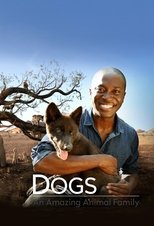 Poster for Dogs: An Amazing Animal Family