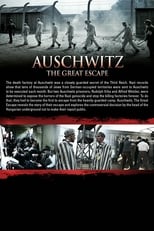 Poster for Auschwitz: The Great Escape