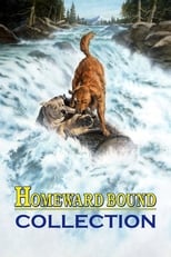 Homeward Bound Collection