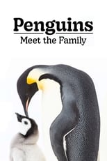 Poster for Penguins: Meet the Family