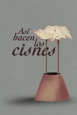 Así hacen los cisnes poster